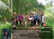 Pemdes Talang Tinggi Laksanakan Pembangunan Jalan Arial Sawah Tahun Angaran 2024.