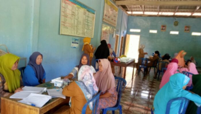 Pemdes Beringin Datar Gelar Acara Posyandu pos Bindu, Pemberian Gizi Terhadap Balita Ibu Hamil Dan Pemantauan Kesehatan Lansia Tahun 2025