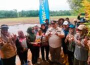 Bupati Bengkulu Selatan H, Rifa’i Tajudin Pimpin, Aksi Gerakan Tanam Serempak, Di Hamparan Sawah Ketaping